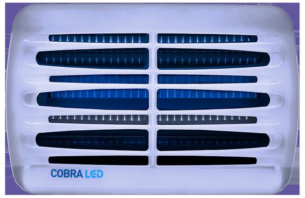 Cobra LED (2×30W)