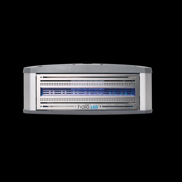 Halo® LED Small